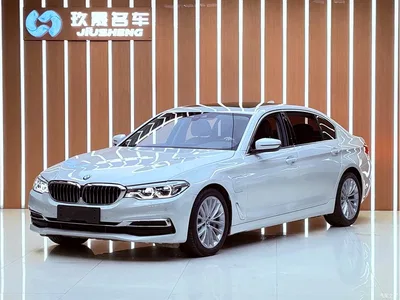 2020 BMW 5 Series New Energy 530Le Luxury Package, фото 1, лот 10625925