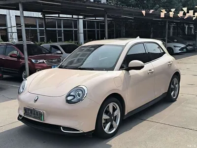 2023 Ora Good Cat 401km Standard Range Honor Edition (LFP), фото 1, лот 10330852
