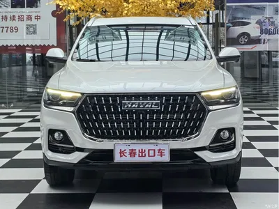 2023 Haval H6 National Trend Edition 1.5T Automatic Champion, фото 2, лот 11538168