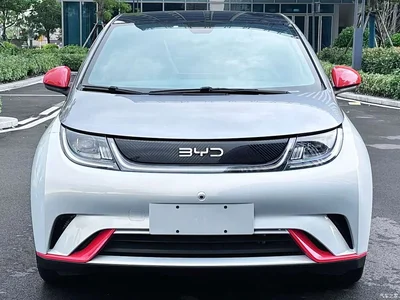 2021 BYD Dolphin Model 405km Fashion Edition, фото 2, лот 11517631