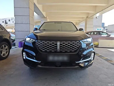 2021 WEY VV6 2.0T 2WD Smart Protection+, фото 3, лот 11568978