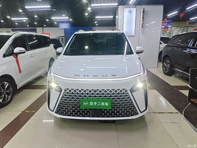 2024 SAIC Maxus Maxus G70 Model 2.0T Automatic Flagship 7-Seater, фото 3, лот 11159058