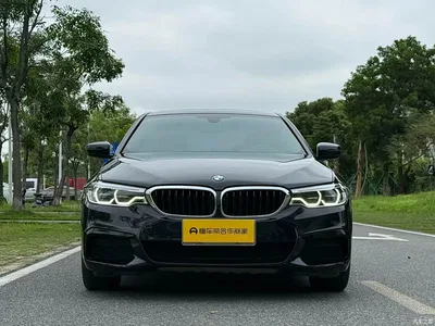 2020 BMW 5 Series 530Li Exclusive M Sport Package, фото 2, лот 11197773