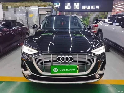 2021 Audi e-tron 50 quattro Exclusive Selection, фото 3, лот 10473640