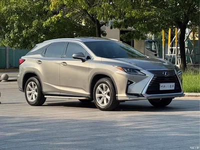2016 Lexus RX 300 2WD Comfort Edition China V, фото 3, лот 10777487