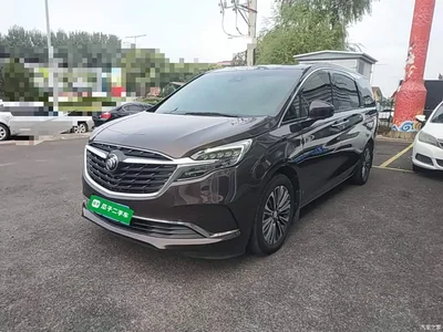 2021 Buick GL8 ES Landlord 653T Luxury, фото 2, лот 11187494