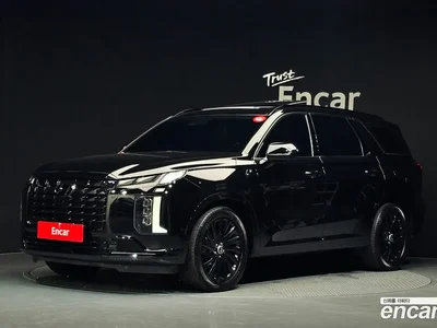 2024 Hyundai Palisade Diesel 2.2 2WD, фото 1, лот 10612908