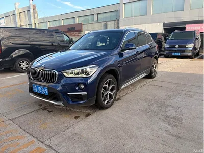 2019 BMW X1 xDrive20Li Premium Model, фото 1, лот 10306960