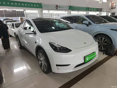 2022 Tesla Model Y Facelift Rear-Wheel Drive Version, фото 4, лот 11448841
