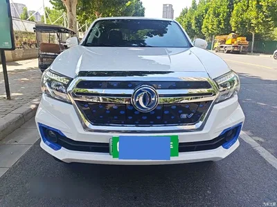 2023 Dongfeng Rich 6 New Energy Bucket Standard Edition 350km, фото 2, лот 10957935