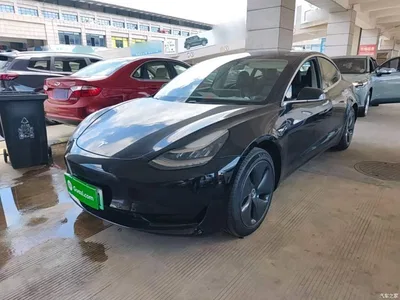 2020 Tesla Model 3 Standard Range Rear-Wheel Drive Upgrade, фото 1, лот 10369902