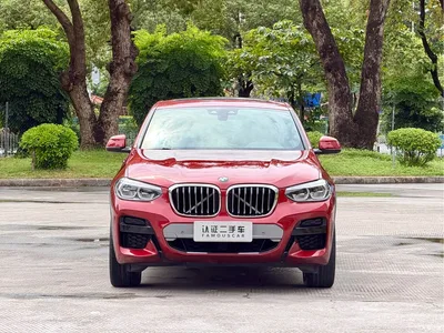 2019 BMW X4 xDrive25i M Off-Road Package, фото 2, лот 11558303