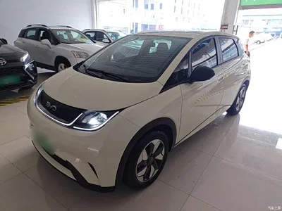 2025 BYD Dolphin 420km Freedom Edition, фото 2, лот 11017807