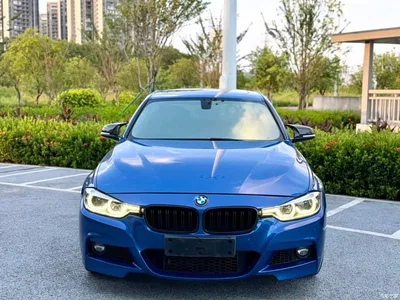 2017 BMW 3 Series 320Li M Sport, фото 2, лот 11579862