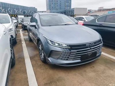 2023 BYD Destroyer 05 Champion Edition DM-i 55KM Luxury, фото 4, лот 10267740