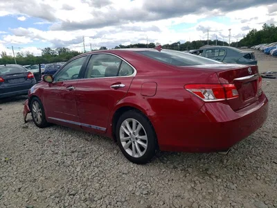 2011 LEXUS ES 350, фото 2, лот 10846752