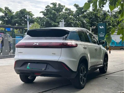 2020 XPeng G3 460 Smart Edition, фото 4, лот 10376394