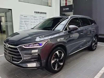 2023 BYD Tang New Energy Model DM-i Champion Edition 112KM Premium, фото 1, лот 10272772