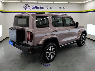 2021 Tank 300 Urban Edition 2.0T Stylish, фото 3, лот 10344440