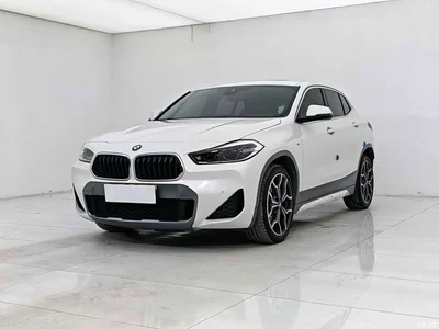 2021 BMW X2 sDrive25i Exclusive M Off-Road Package, фото 1, лот 10239105