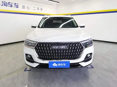 2023 Haval H6 National Trend Edition 1.5T Automatic Champion, фото 2, лот 10296150