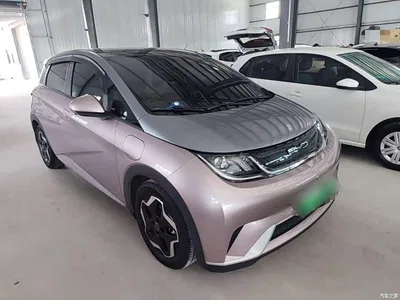 2021 BYD Dolphin 405km Freedom Edition, фото 4, лот 10264174