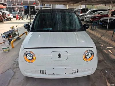 2021 Ora Black Cat 301km Pet Edition, фото 3, лот 11182310