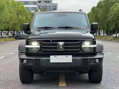2021 Tank 300 Off-road Version 2.0T Conqueror, фото 2, лот 10767812