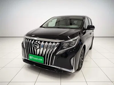2023 GAC Trumpchi Trumpchi M8 Leading Series 390T Luxury Edition, фото 1, лот 10414014