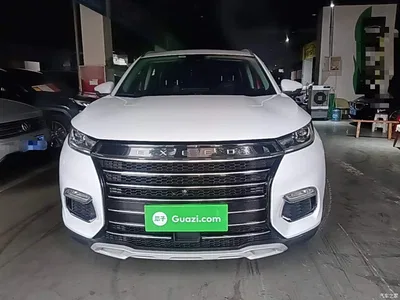2019 Exeed TX 1.6T 4WD Platinum Edition, фото 3, лот 10454303