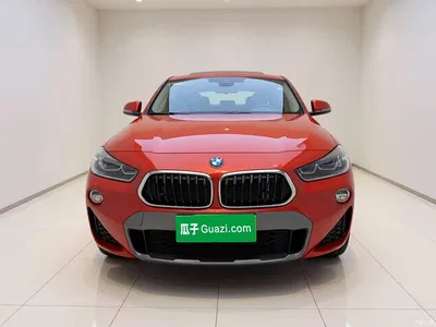2019 BMW X2 (Import) sDrive20i M Off-Road Package China VI, фото 2, лот 11196223