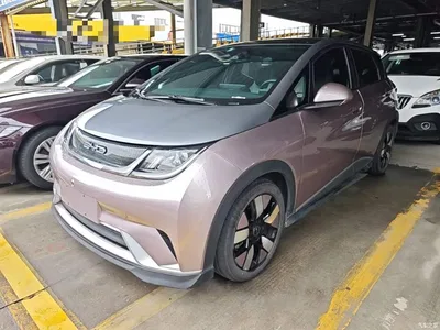 2021 BYD Dolphin 401km Knight Edition, фото 2, лот 10259225
