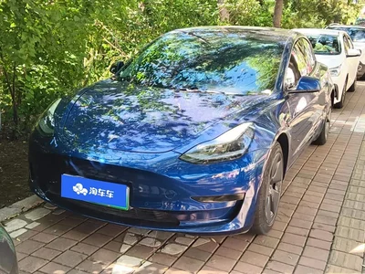 2021 Tesla Model 3 Standard Range Rear-Wheel Drive Upgrade, фото 2, лот 10354434