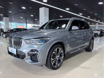 2022 BMW X5 xDrive 40Li Premium M Sport Package, фото 1, лот 10232192
