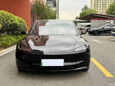2025 Tesla Model 3 Model Rear-Wheel Drive Edition, фото 2, лот 10356991