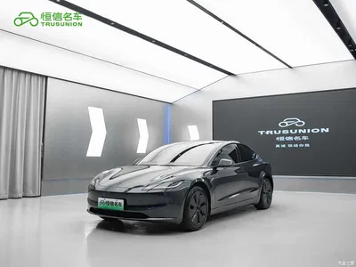 2025 Tesla Model 3 Model Rear-Wheel Drive Edition, фото 1, лот 10356621