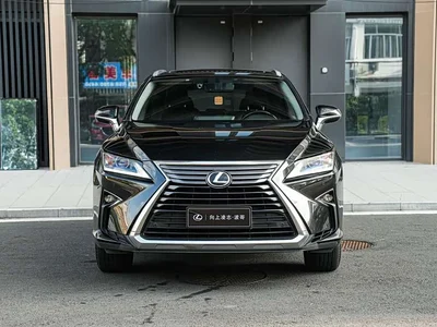 2016 Lexus RX 300 2WD Comfort Edition China V, фото 2, лот 10317481