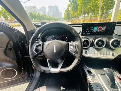 2020 WEY VV7 2.0T Luxury, фото 4, лот 10391116