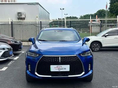2018 WEY P8 2.0T Flagship Model, фото 2, лот 11521801