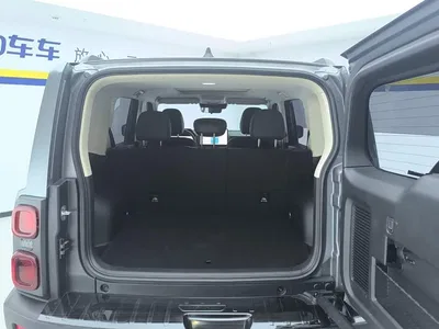 2024 Haval Meng Long NEV Hi4 145 Pro, фото 4, лот 10296286