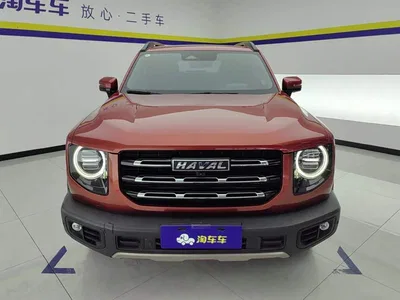 2021 Haval Big Dog 1.5T DCT 2WD Border Collie Edition, фото 2, лот 10414819