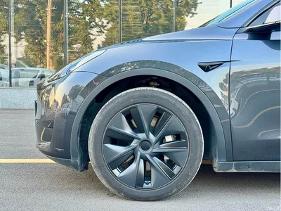 2024 Tesla Model Y Rear-Wheel Drive Version, фото 4, лот 11300001