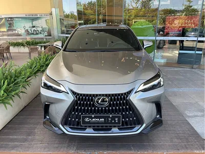 2022 Lexus NX 350h FWD Joy Creation Edition, фото 2, лот 10314840
