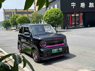 2025 Geely Galaxy Panda Model Year 210km Panda Kart, фото 3, лот 10476669