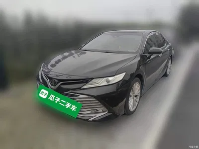 2019 Toyota Camry 2.5G Luxury Edition China VI, фото 1, лот 11140344