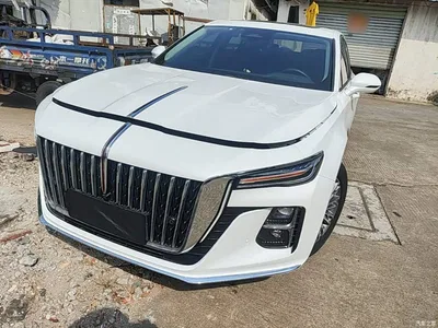 2022 Hongqi H9 2.0T Smart Connect Flag Joy Edition, фото 1, лот 10388173