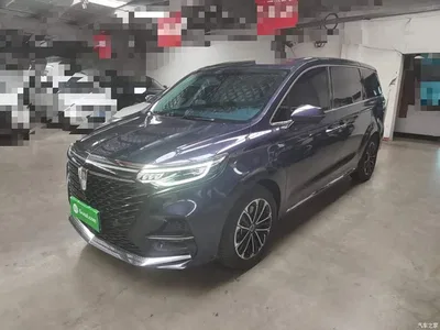 2021 Roewe iMAX8 400TGI Supreme Series Honor, фото 2, лот 11088650