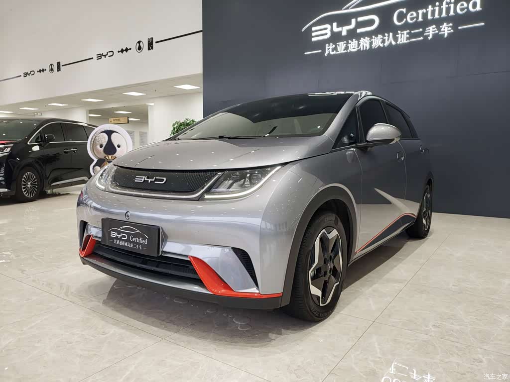 2021 BYD Dolphin Model 405km Fashion Edition, фото 1, лот 11205738