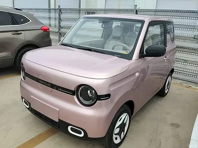 2025 Geely Galaxy Panda mini 210km Vitality Bear, фото 1, лот 11188220