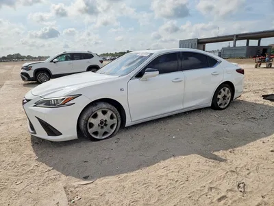 2019 LEXUS ES 350, фото 1, лот 10844240